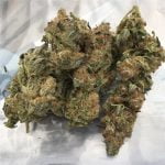 Cookies and Cream Bud