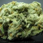 Pineapple Express Bud