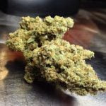Trainwreck Bud