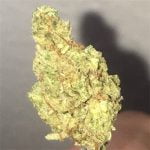 Agent Orange Bud