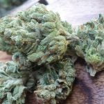 Chemdawg Bud