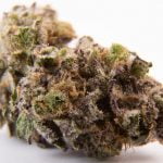 Grape Ape Bud