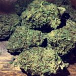 LSD Bud