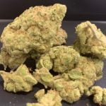 Mandarin Cookies Bud