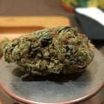 Mendo Breath Bud