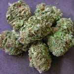 Pineapple Upside Down Cake Bud