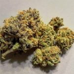 Strawberry Cough Bud