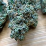 Gelato Cake Bud