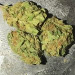 Super Silver Haze Bud