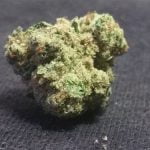 The White Bud