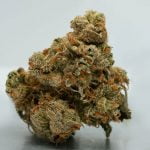 Banana Kush Bud
