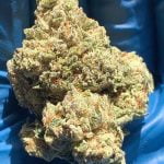 Billy Kimber Bud