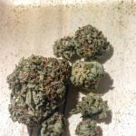 Critical Kush Bud