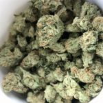 Grapefruit Strain Marijuana Plant