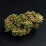 Red Headed Stranger Bud