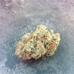 Triangle Kush Bud