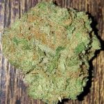 Golden Pineapple Bud