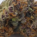 Grape Diamonds Strain Marijuana Plant