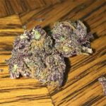 Grape God Bud
