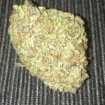 Grape Soda Bud