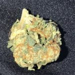 Incredible Hulk Bud