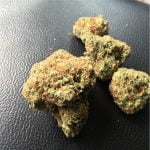 Orange Kush Bud