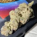 Pie Hoe Strain Marijuana Plant