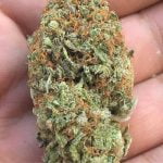 Platinum Kush Bud