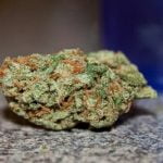 Snowcap Bud