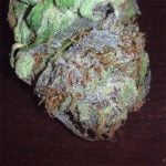 Space Candy Strain Marijuana Plant