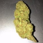 Golden Ticket Bud