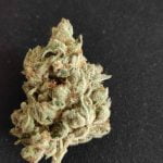 Miss USA Bud