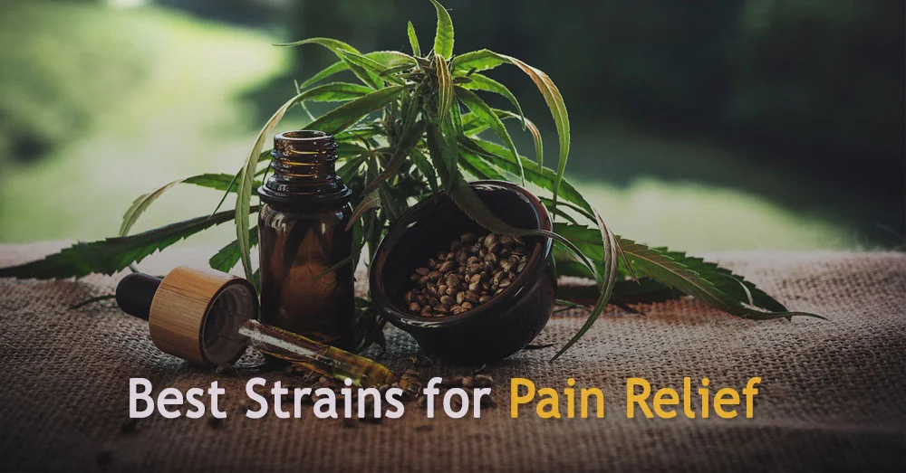 Best Strains for Pain Relief