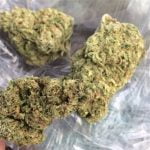 Blue Diamond Bud