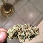 Blueberry OG Bud