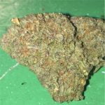 Diablo Strain Marijuana Plant