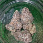Gelonade Bud