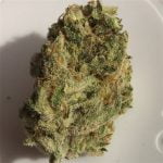 Moonshine Haze Bud