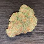 Orange 43 Bud