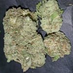 Vanilla Kush Bud