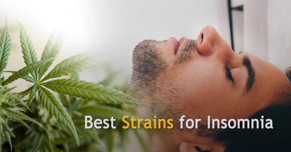Best Strains for Insomnia
