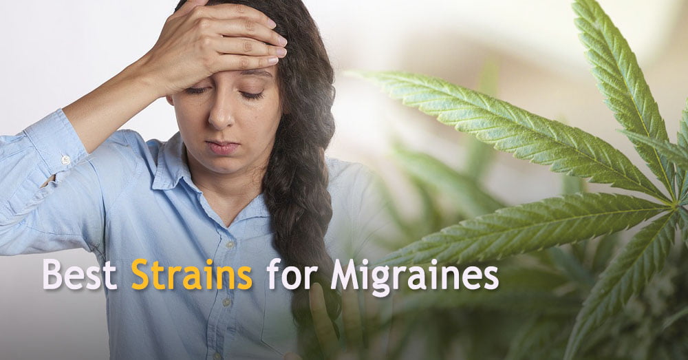 Best strains for Migraines