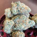 Alaskan Thunder Fuck Bud