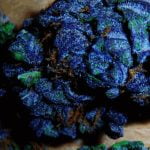 Blueberry Yum Yum Strain Marijuana Plant