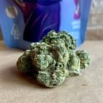 C4 Bud