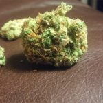 Cherry Limeade Bud