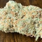 Cherry Limeade Strain Marijuana Plant