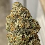 Divorce Cake Strain Marijuana Plant