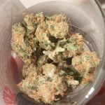 Hawaiian Bud