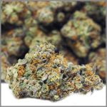 Lemon Cheesecake Bud